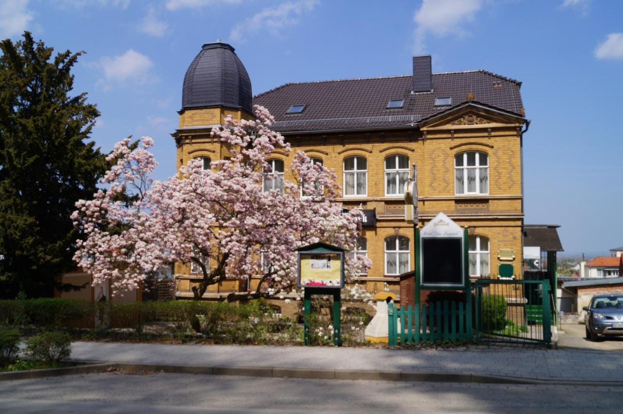 Hotel Am Kurpark Bad Suderode Buitenkant foto